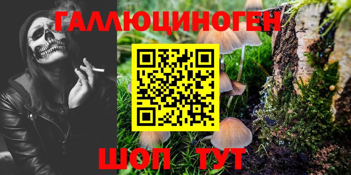 Псилоцибиновые грибы ЛСД Аргун
